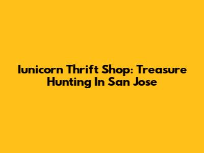 Iunicorn Thrift Shop: Treasure Hunting In San Jose