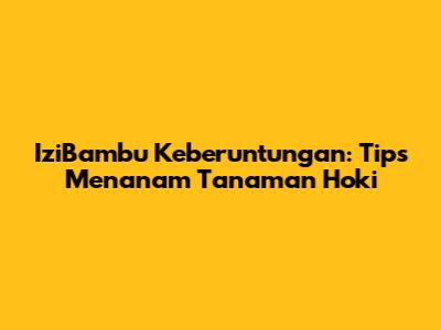 IziBambu Keberuntungan: Tips Menanam Tanaman Hoki