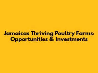 Jamaica's Thriving Poultry Farms: Opportunities & Investments