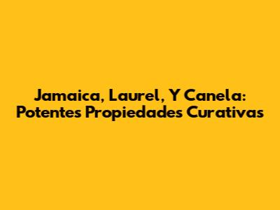 Jamaica, Laurel, Y Canela: Potentes Propiedades Curativas