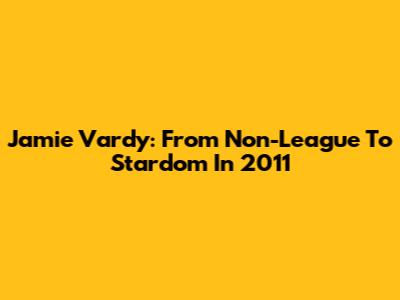 Jamie Vardy: From Non-League To Stardom In 2011