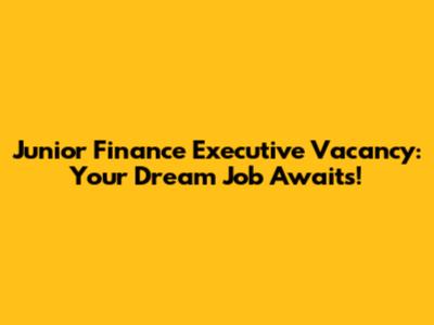 Junior Finance Executive Vacancy: Your Dream Job Awaits!