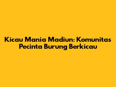 Kicau Mania Madiun: Komunitas Pecinta Burung Berkicau