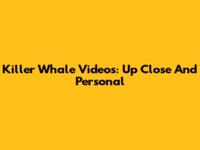 Killer Whale Videos: Up Close And Personal