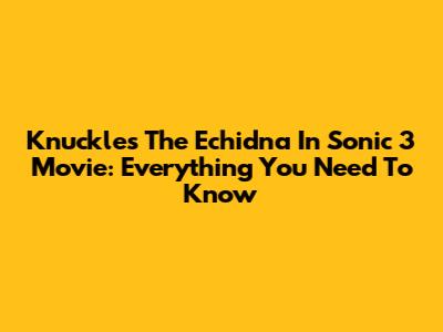 Knuckles The Echidna In Sonic 3 Movie: Everything You Need To Know
