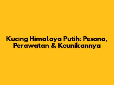 Kucing Himalaya Putih: Pesona, Perawatan & Keunikannya