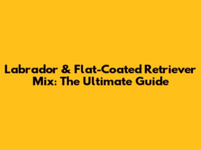 Labrador & Flat-Coated Retriever Mix: The Ultimate Guide