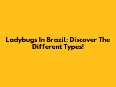 Ladybugs In Brazil: Discover The Different Types!