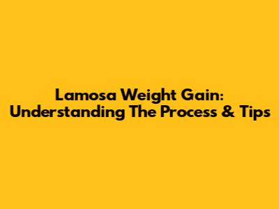 Lamosa Weight Gain: Understanding The Process & Tips