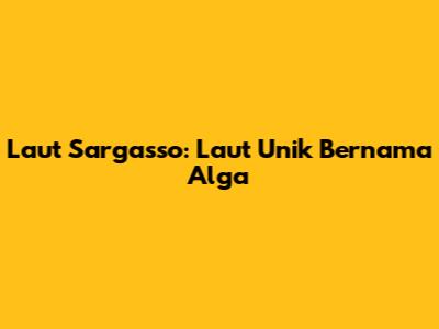 Laut Sargasso: Laut Unik Bernama Alga