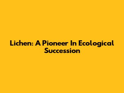 Lichen: A Pioneer In Ecological Succession