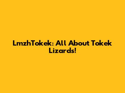 LmzhTokek: All About Tokek Lizards!