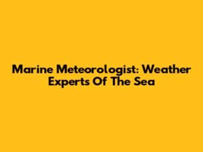 Marine Meteorologist: Weather Experts Of The Sea