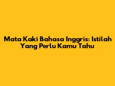 Mata Kaki Bahasa Inggris: Istilah Yang Perlu Kamu Tahu