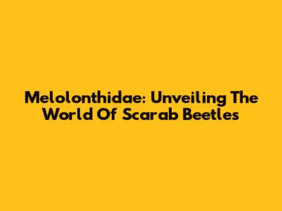 Melolonthidae: Unveiling The World Of Scarab Beetles