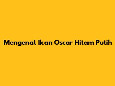 Mengenal Ikan Oscar Hitam Putih
