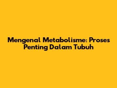 Mengenal Metabolisme: Proses Penting Dalam Tubuh