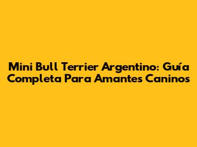 Mini Bull Terrier Argentino: Guía Completa Para Amantes Caninos