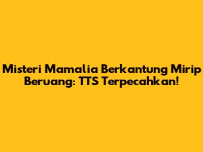 Misteri Mamalia Berkantung Mirip Beruang: TTS Terpecahkan!