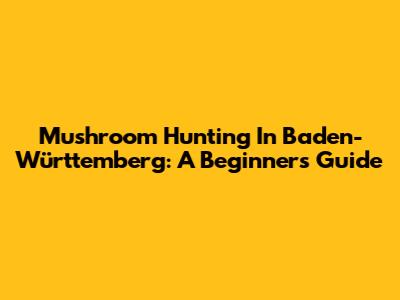 Mushroom Hunting In Baden-Württemberg: A Beginner's Guide