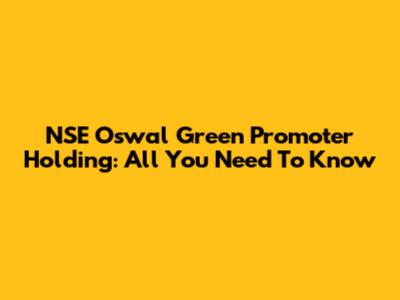NSE Oswal Green Promoter Holding: All You Need To Know
