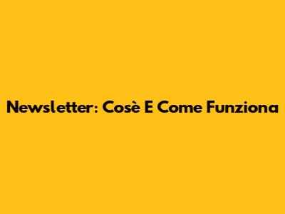 Newsletter: Cos'è E Come Funziona