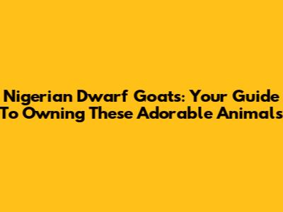 Nigerian Dwarf Goats: Your Guide To Owning These Adorable Animals