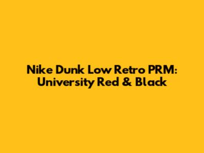 Nike Dunk Low Retro PRM: University Red & Black