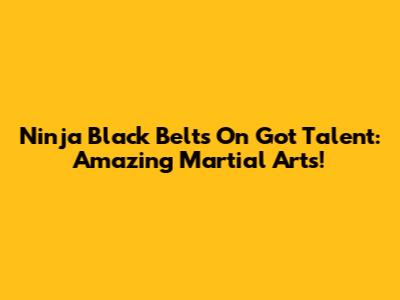 Ninja Black Belts On Got Talent: Amazing Martial Arts!