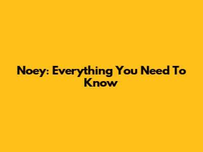 Noey: Everything You Need To Know