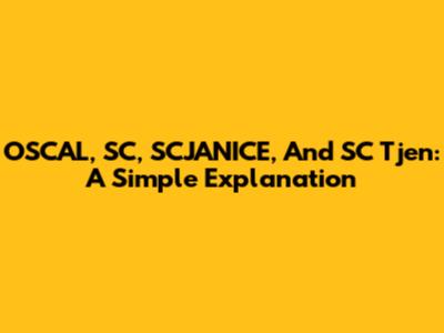 OSCAL, SC, SCJANICE, And SC Tjen: A Simple Explanation