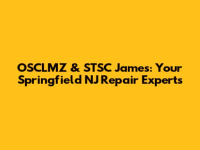 OSCLMZ & STSC James: Your Springfield NJ Repair Experts
