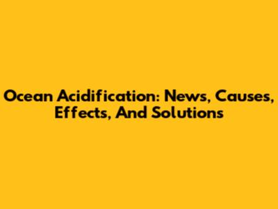 Ocean Acidification: News, Causes, Effects, And Solutions