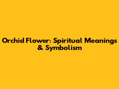 Orchid Flower: Spiritual Meanings & Symbolism