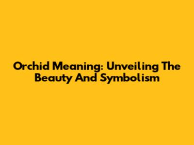 Orchid Meaning: Unveiling The Beauty And Symbolism