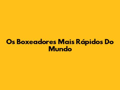 Os Boxeadores Mais Rápidos Do Mundo