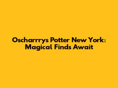 Oscharrry's Potter New York: Magical Finds Await