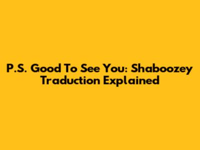 P.S. Good To See You: Shaboozey Traduction Explained