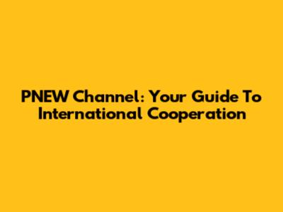 PNEW Channel: Your Guide To International Cooperation