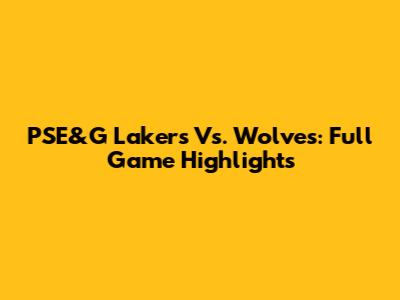 PSE&G Lakers Vs. Wolves: Full Game Highlights