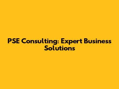 PSE Consulting: Expert Business Solutions