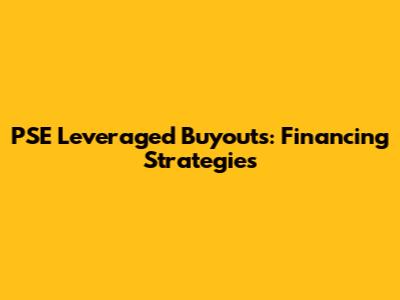 PSE Leveraged Buyouts: Financing Strategies