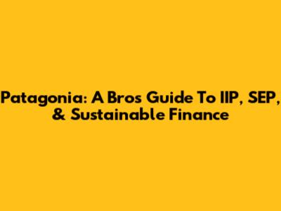 Patagonia: A Bro's Guide To IIP, SEP, & Sustainable Finance