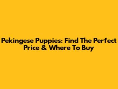 Pekingese Puppies: Find The Perfect Price & Where To Buy