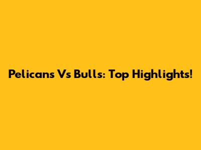 Pelicans Vs Bulls: Top Highlights!