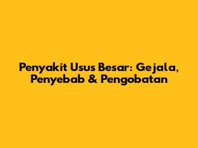 Penyakit Usus Besar: Gejala, Penyebab & Pengobatan