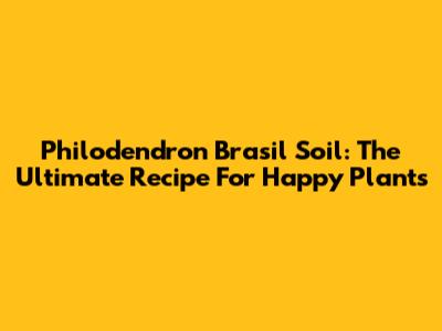 Philodendron Brasil Soil: The Ultimate Recipe For Happy Plants