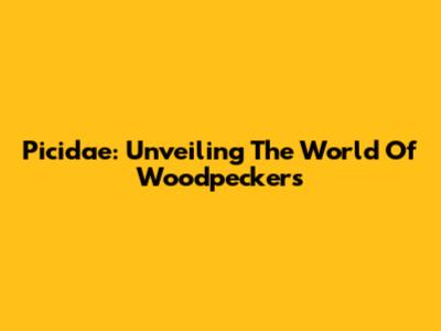 Picidae: Unveiling The World Of Woodpeckers