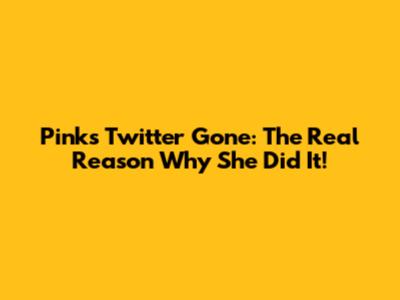 Pink's Twitter Gone: The Real Reason Why She Did It!