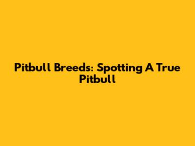 Pitbull Breeds: Spotting A True Pitbull